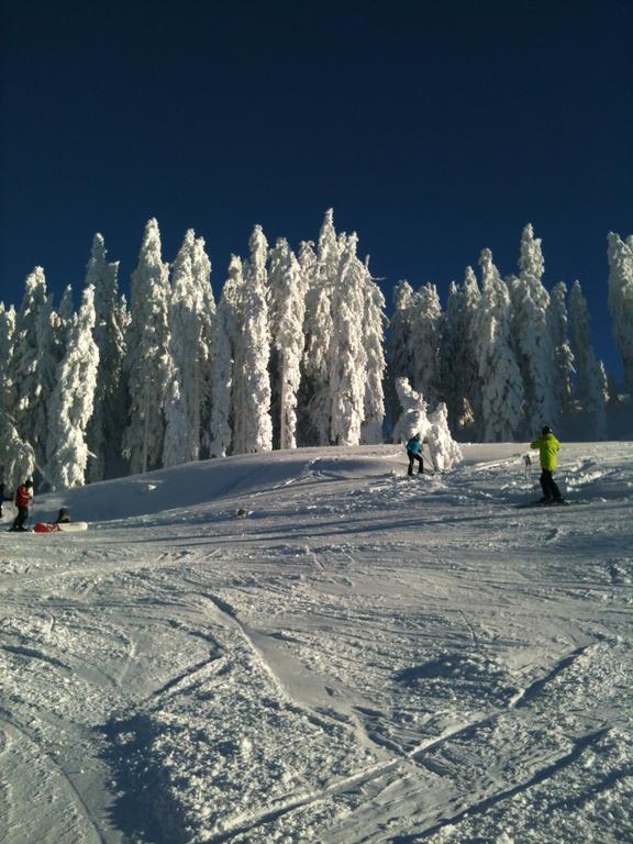 Kitz Residenz Top 6 Kaprun Rum bild